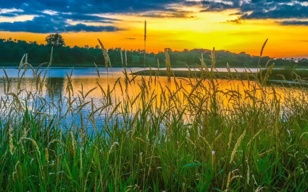 Trump administration backtracks on Iowa water safety rules
