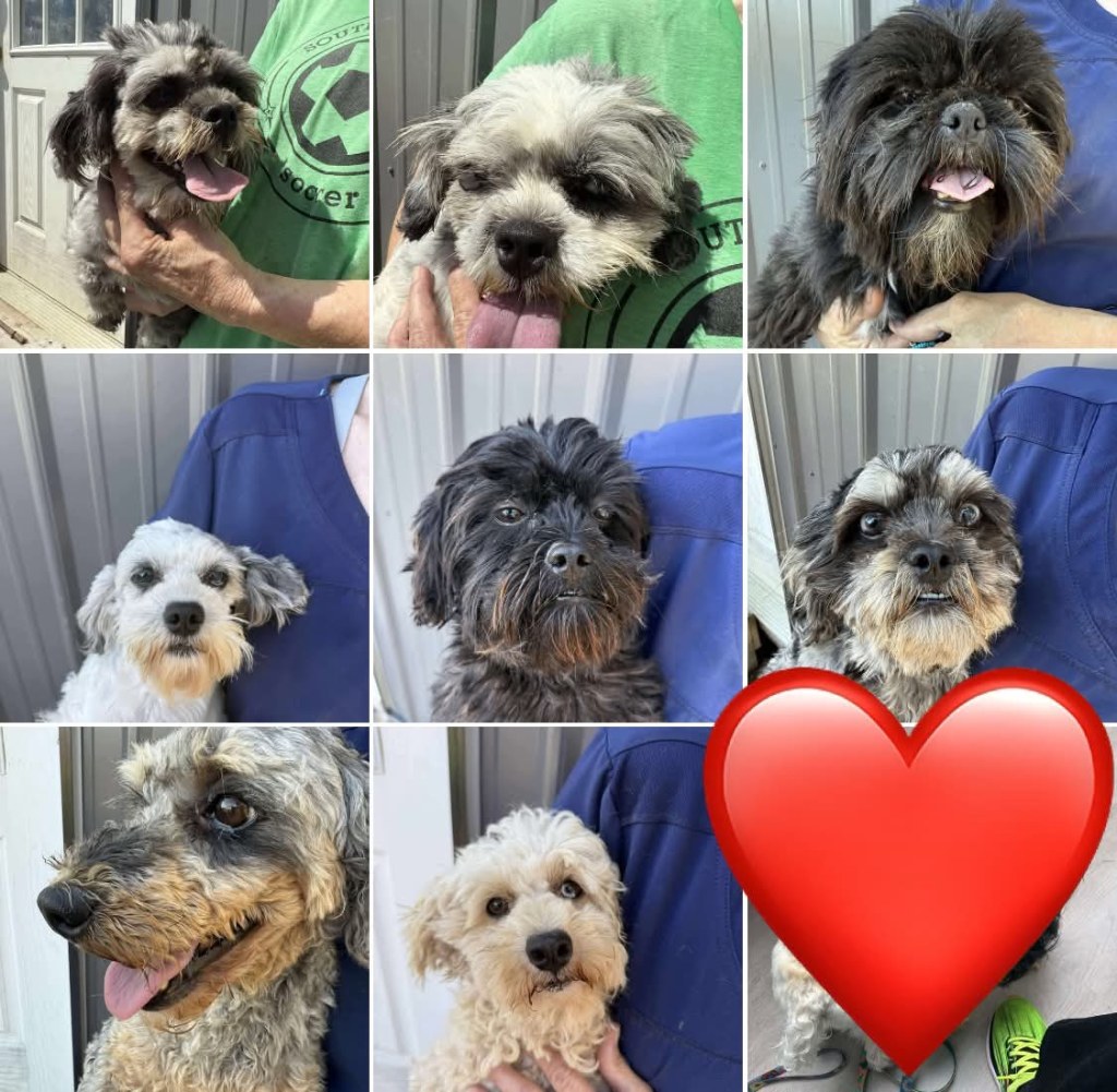 Why it took nearly a century to bring Halloween to Des Moines