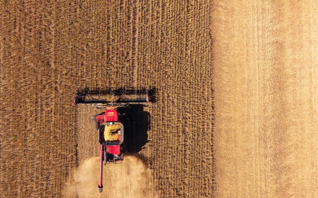 Big harvest no comfort to Iowa farmers, who worry about another Farm Crisis