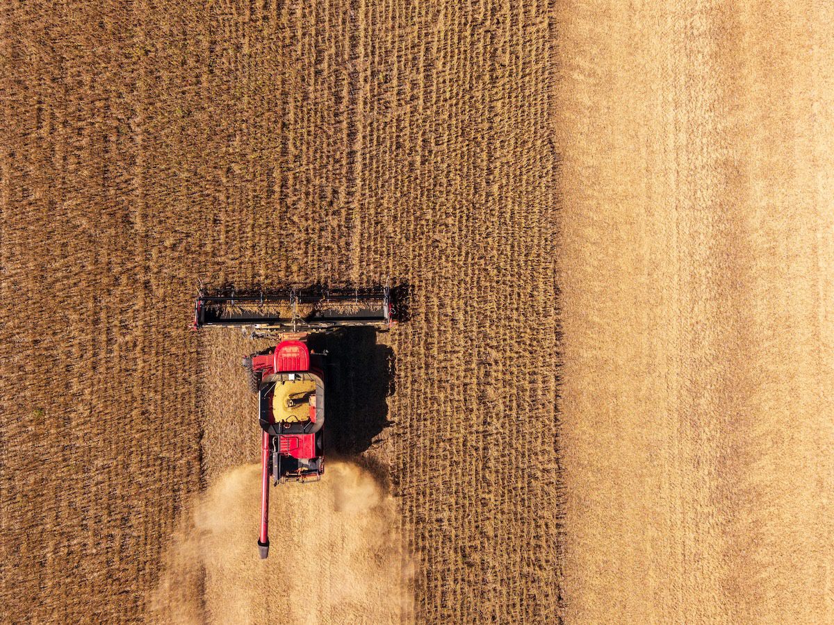 Big harvest no comfort to Iowa farmers, who worry about another Farm Crisis Big harvest no comfort to Iowa farmers, who worry about another Farm Crisis