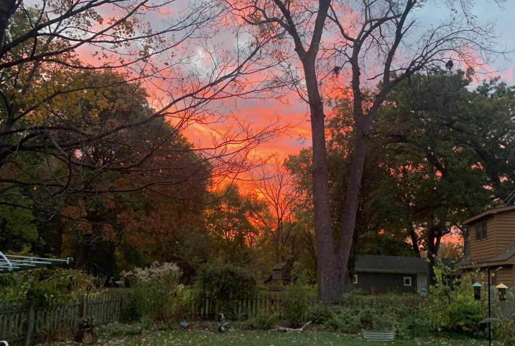 🎃 Happy Halloween!