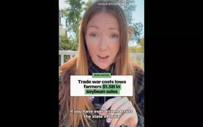 WATCH: Trade war costs Iowa farmers $1.5 billion in soybean sales