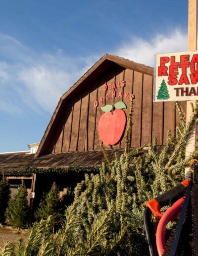 There’s nothing more festive than going to a tree farm, picking the perfect live tree, and cutting it down yourself.