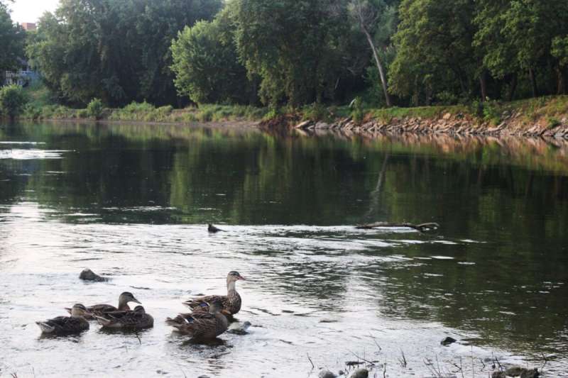 Iowa's nitrate pollution is not short-term, but continuous, and has been linked to cancer in a state with the nation's second highest number of new cases.