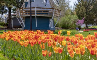 11 best spring & summer festivals in Iowa in 2026