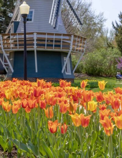 The best festivals in Iowa this spring and summer range from food-centric events to those that support marginalized voices.