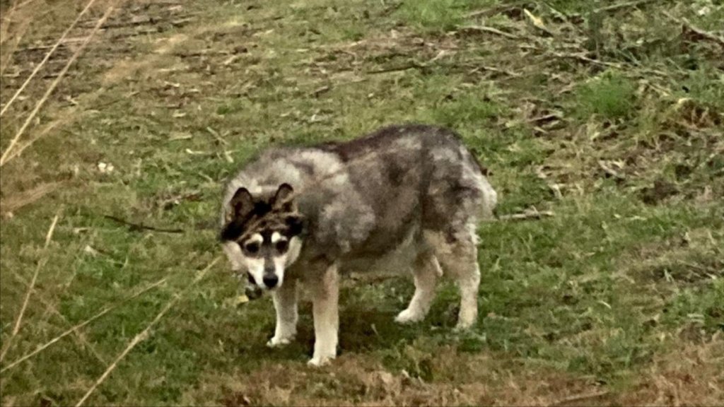 🪧 Venezuela, ICE protests around Iowa