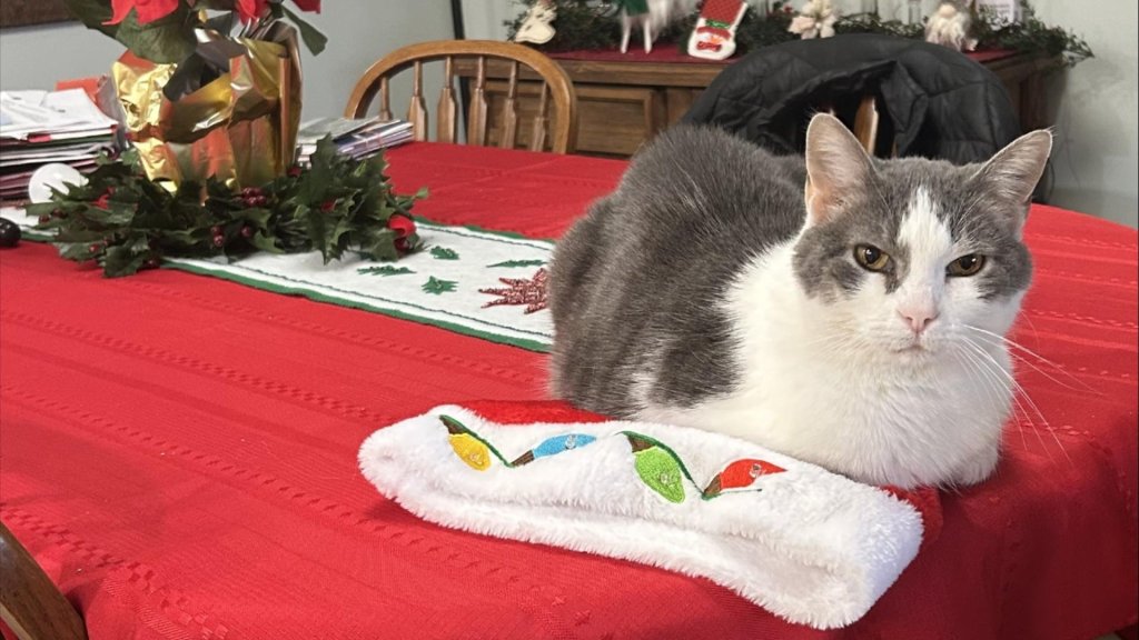 🗣️ Your letters: ‘Communist bastards’ and Buxton stories