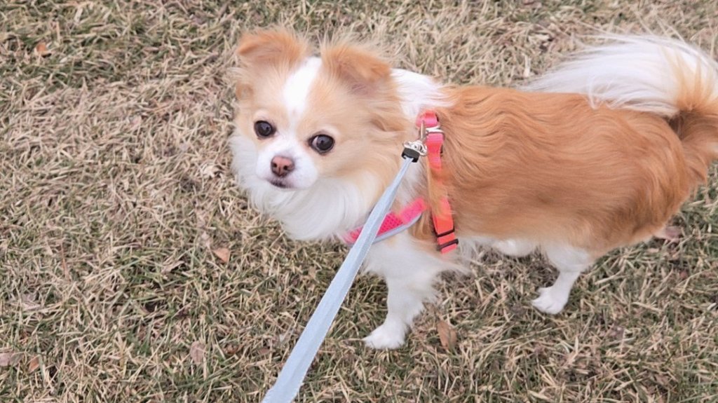 🥪 Iowa’s pay-it-forward cafe that creates community