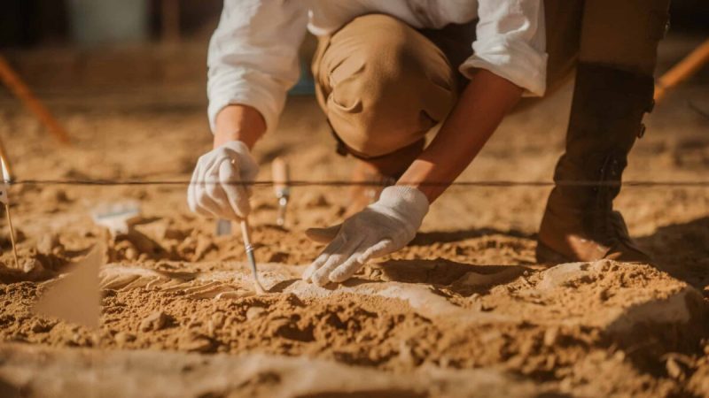 The artifacts and evidence found buried at Palace Site date back over 7,000 years, and they provide a brief snapshot of what life might have been like back then—of how the villagers ate, grew crops, and wielded tools.