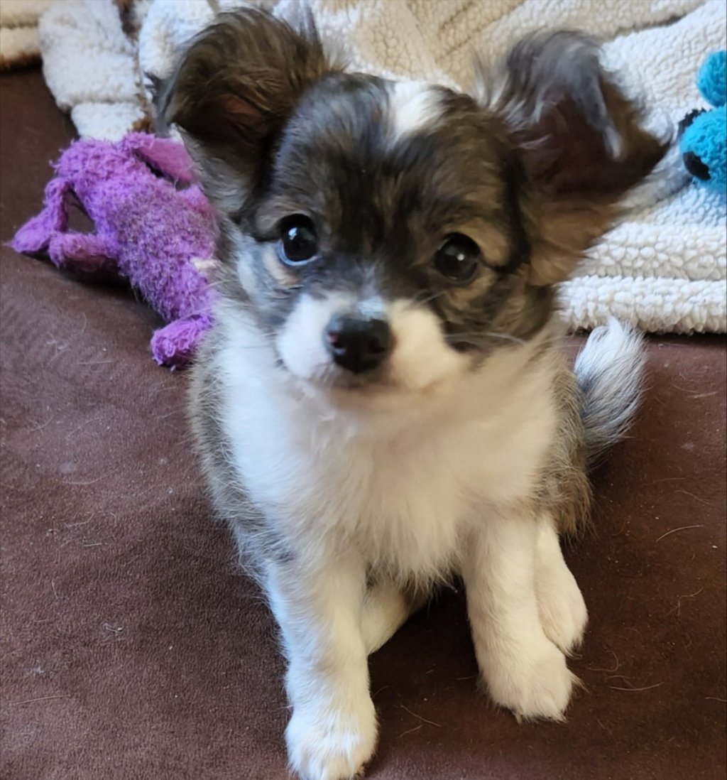 Iowa has 95 data centers?!