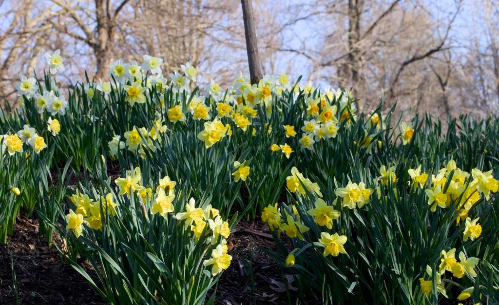 Viral Iowa restaurants worthy of their rep