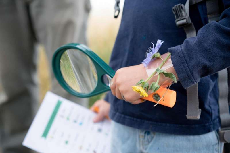 A child holds a magnifying glass during a scavenger hunt, one of many things to do with kids in Iowa this summer