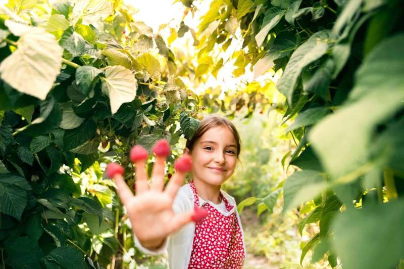 A girl with raspberries on her fingers
