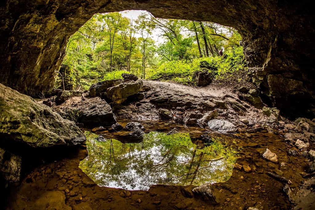 Maquoketa Caves State Park is the place to be if you’d like to explore caves in Iowa. (CC By 2.0/Phil Roeder)