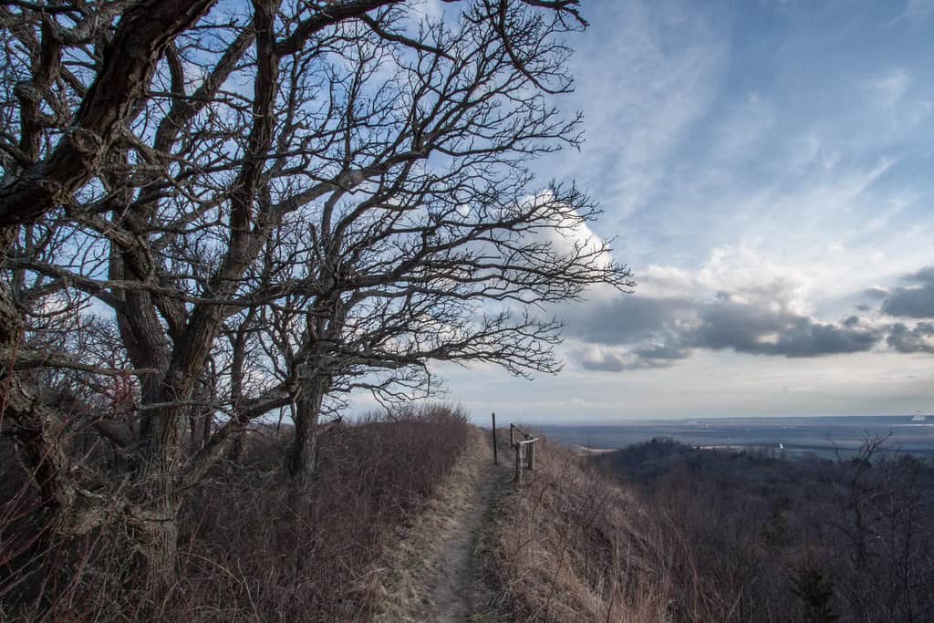 Waubonsie State Park includes a number of hiking trails. (CC BY-NC 2.0/Vincent Parsons)