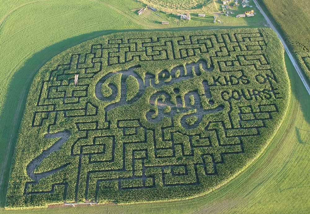Catch the corn maze at Bloomsbury Farm—if you don’t mind getting a little lost! (Bloomsbury Farm)